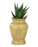 Mini Çiçek Saksı Küçük Sukulent Altın Kaktüs Saksısı Desenli Vazo Model